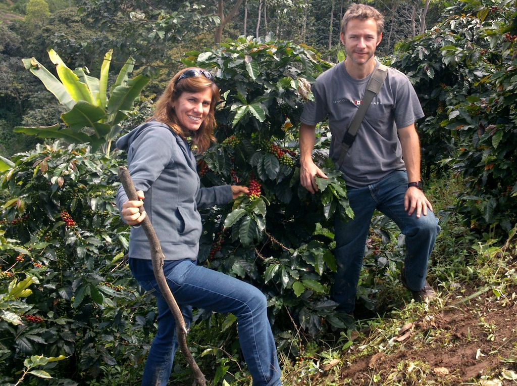 MEET OUR ROASTER'S CHOICE... INCA GOLD