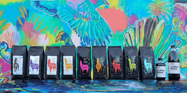 Coffee Beans and Cold Brew Concentrate