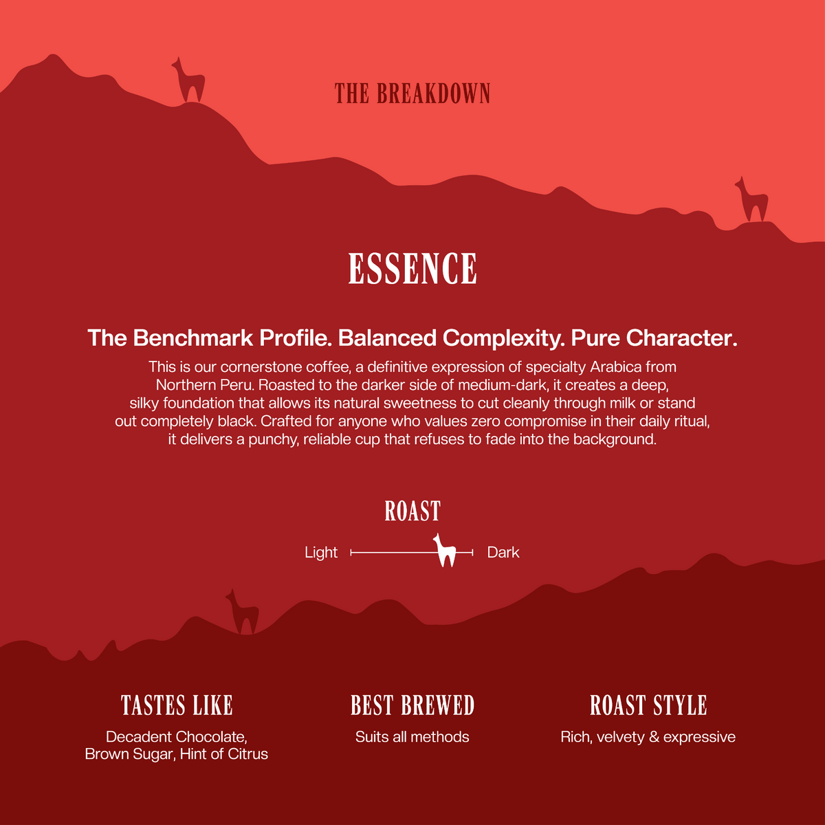 Essence - Specialty Coffee - Three Llamas