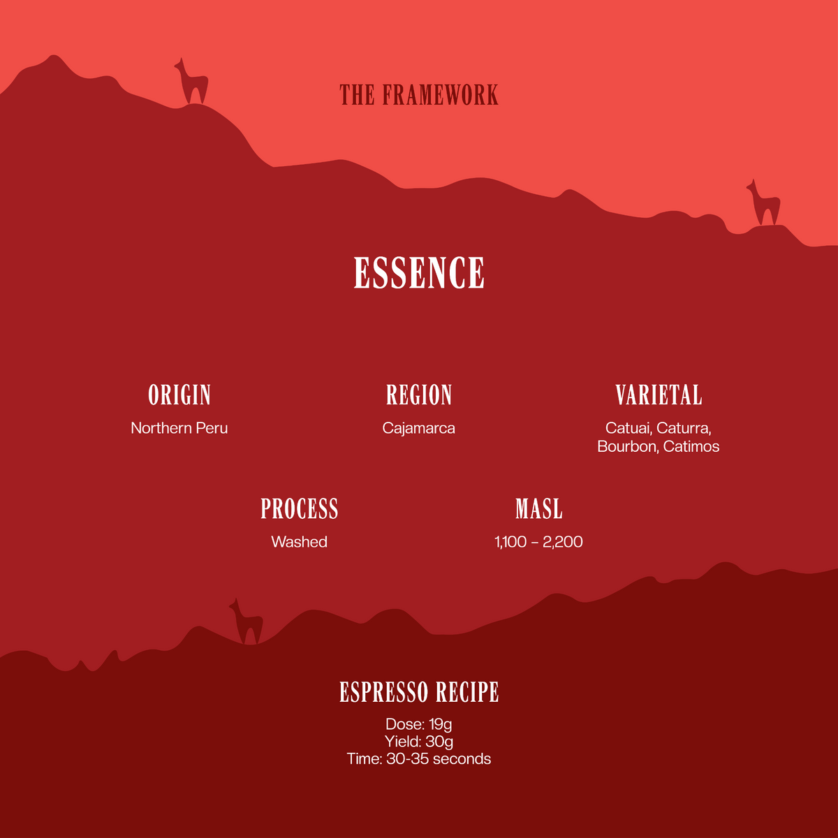 Essence - Specialty Coffee - Three Llamas