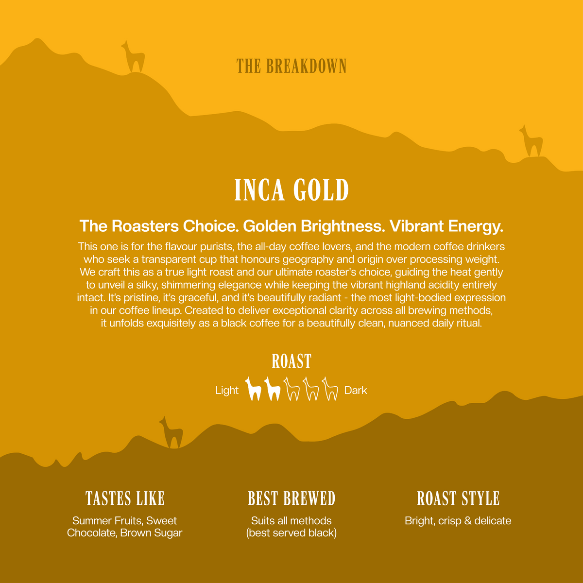 INCA GOLD - SPECIALTY COFFEE