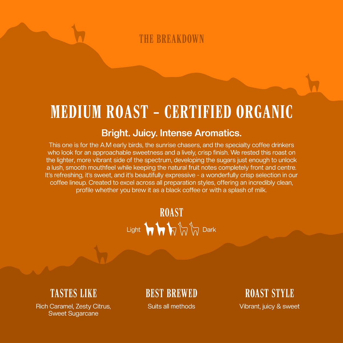 MEDIUM ROAST – CERTIFIED ORGANIC