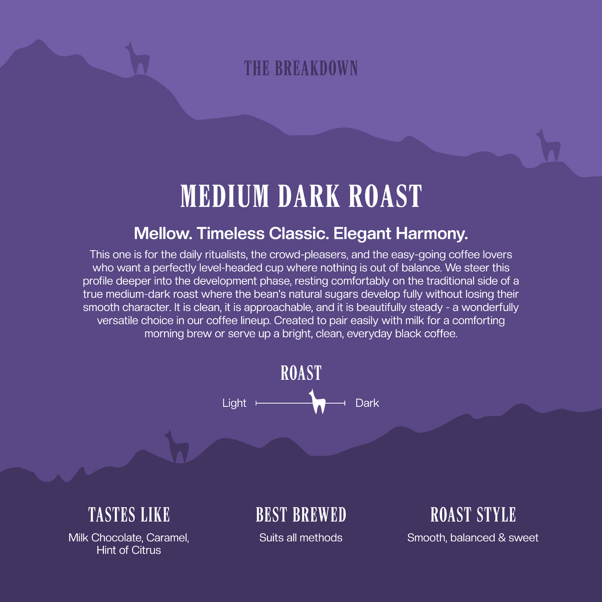 Medium Dark Roast Specialty Coffee