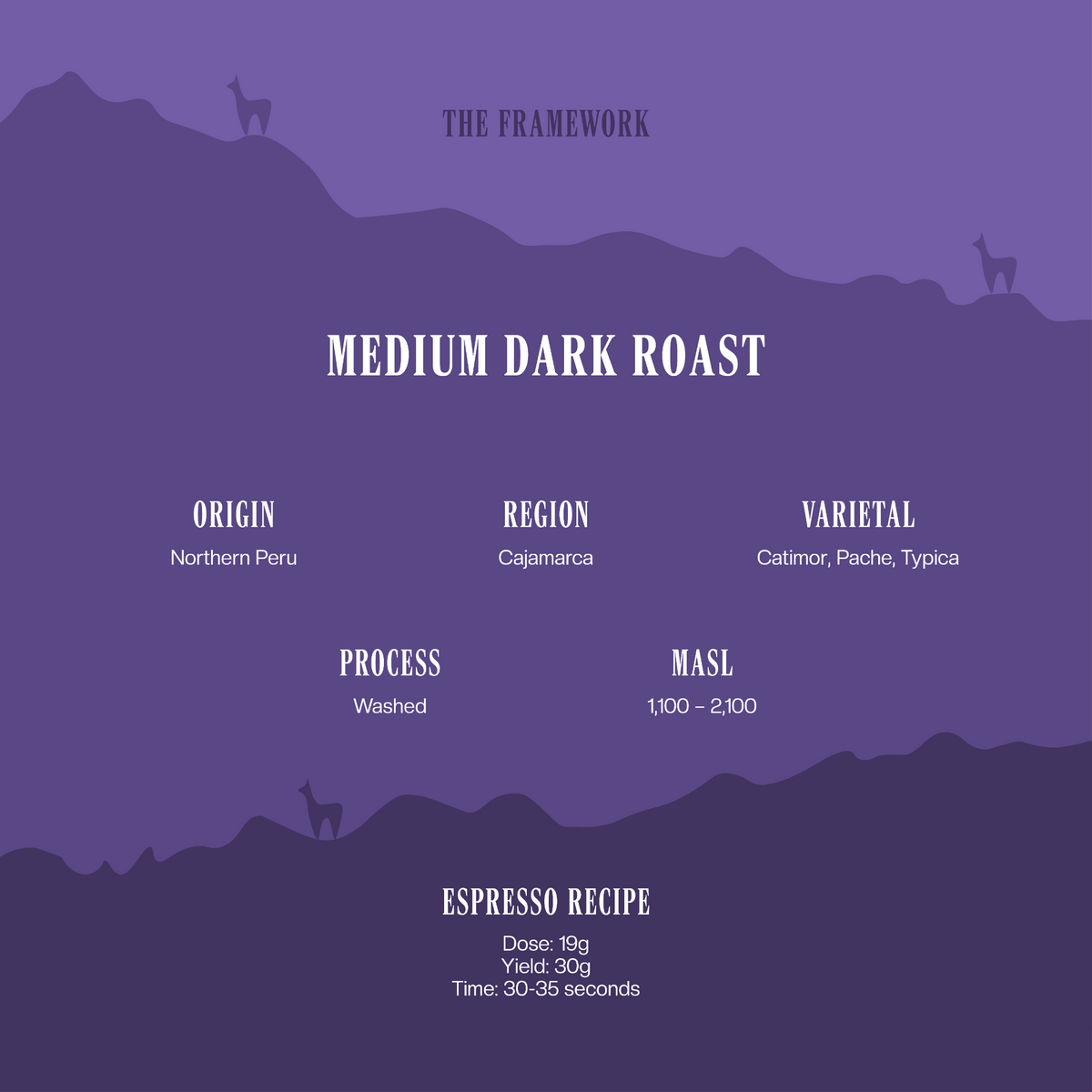 Medium Dark Roast Specialty Coffee