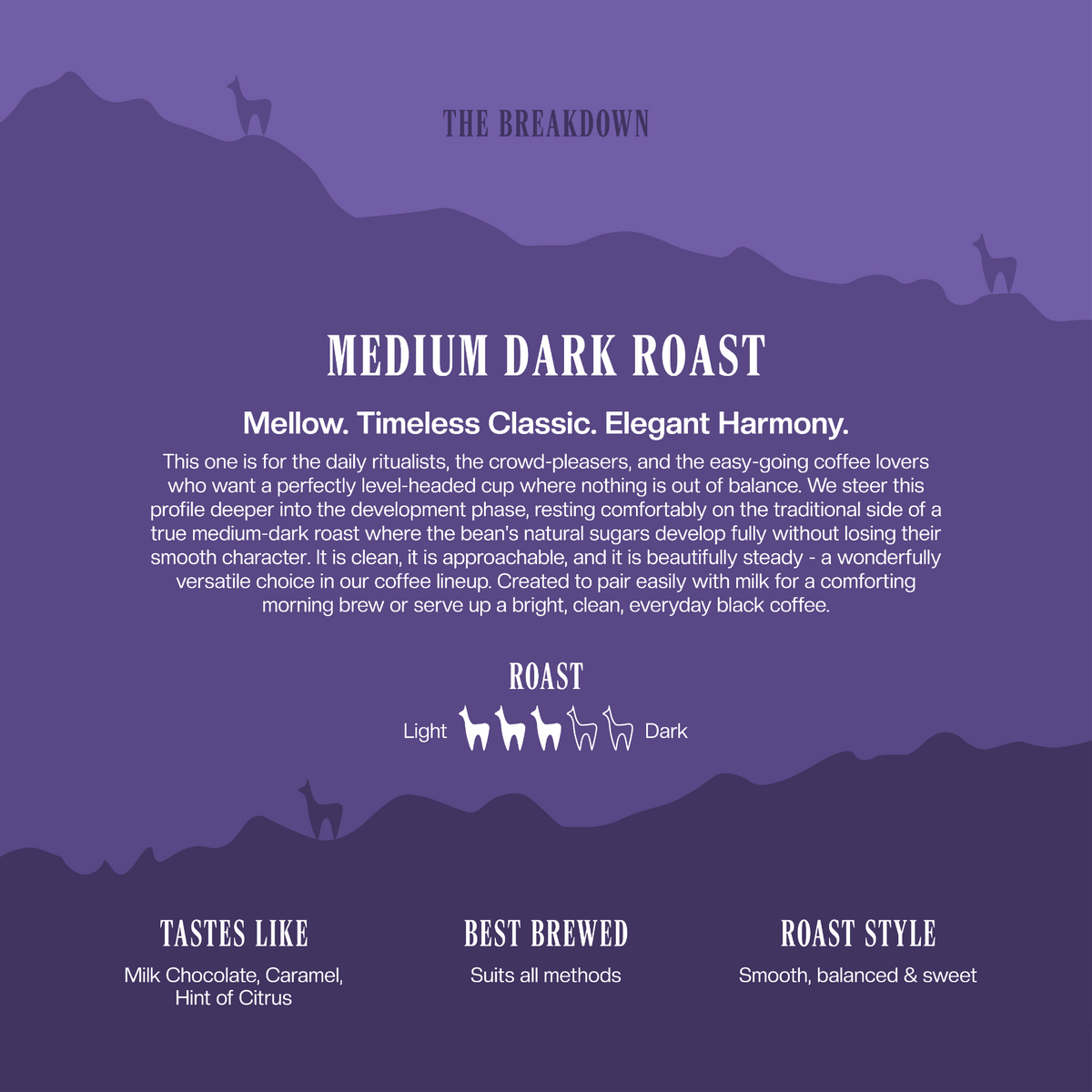 Medium Dark Roast Specialty coffee