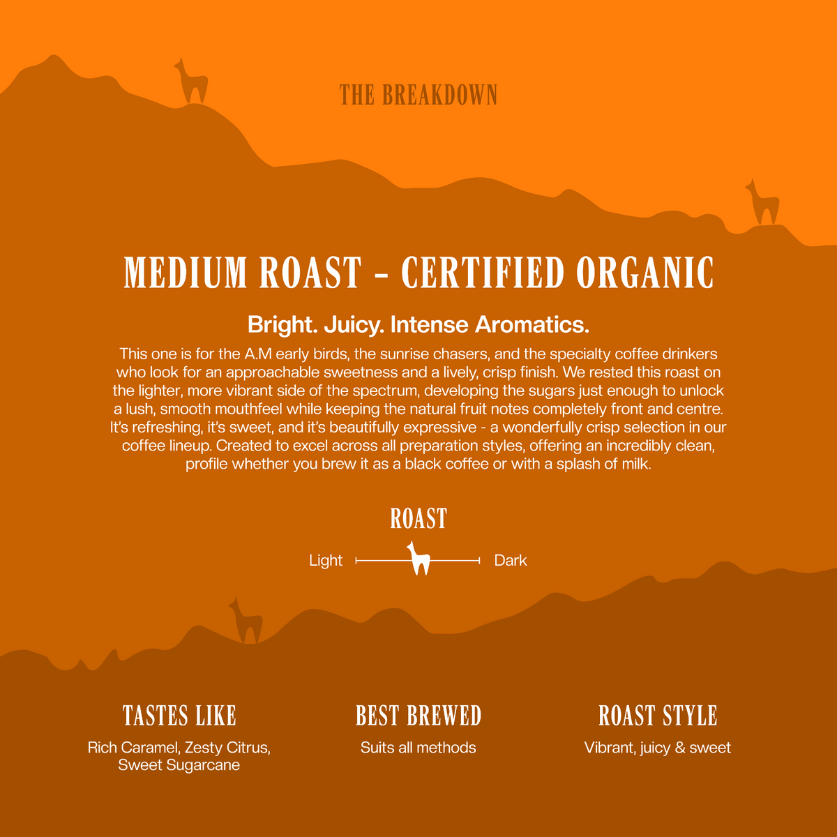 Medium Roast - Certified Organic Coffee 