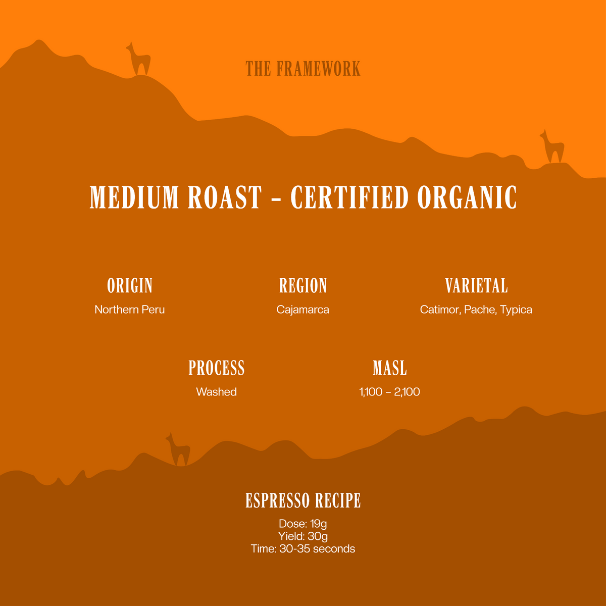 Medium Roast - Certified Organic Coffee 