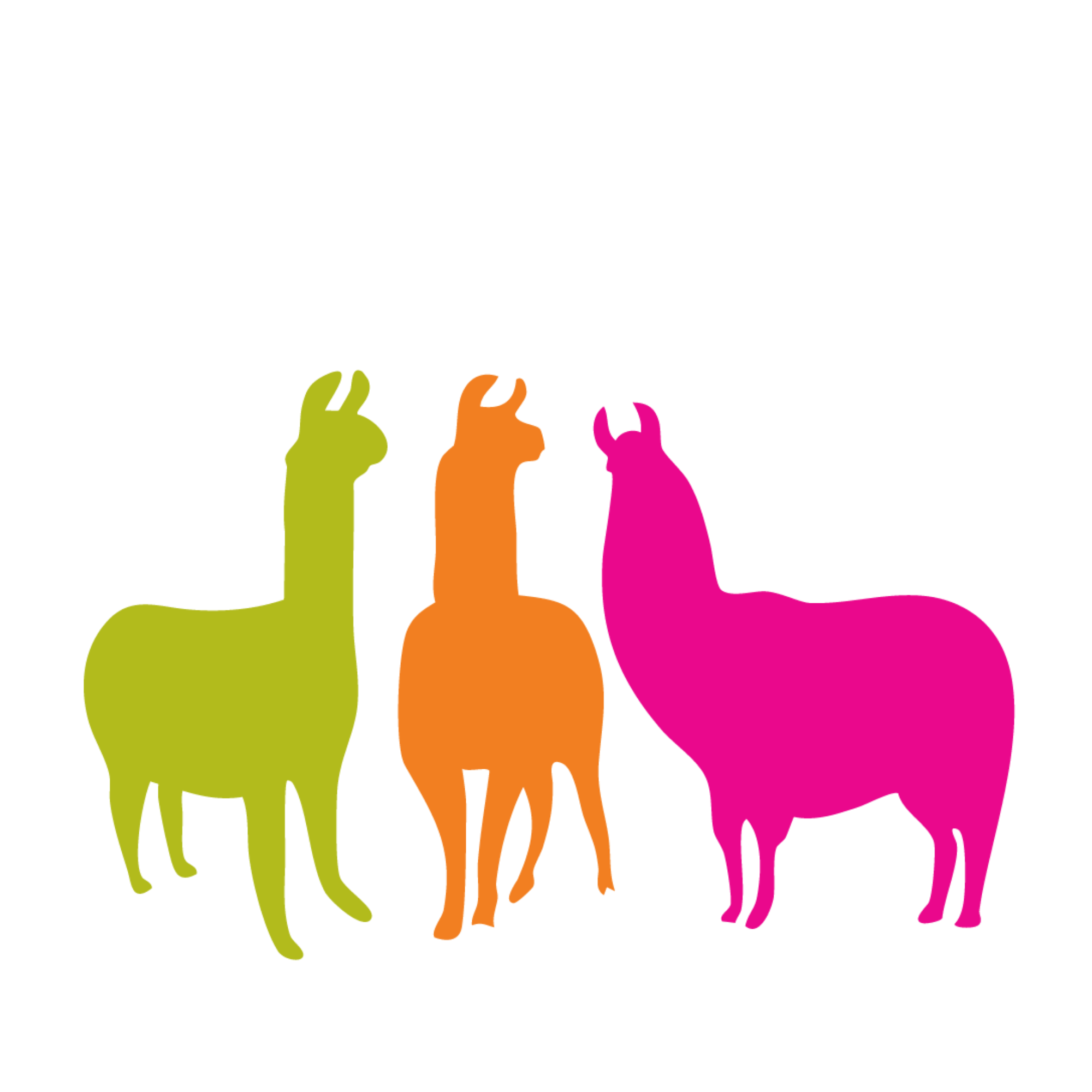 Three Llamas Coffee